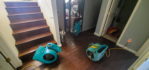 Best Flood restoration services  in Taylor, TX
