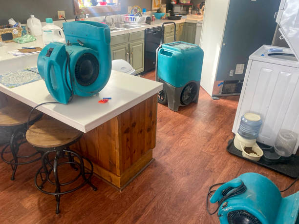 Best Fire Damage Restoration  in Taylor, TX