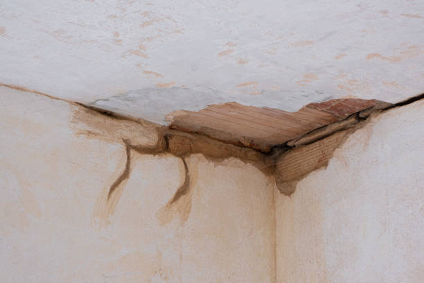 Best Basement water damage restoration  in Taylor, TX
