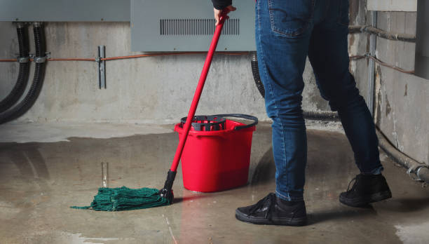 Best Sewage cleanup and water damage restoration  in Taylor, TX