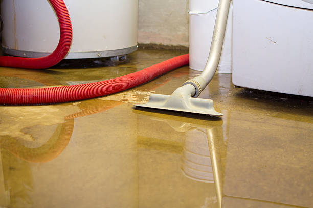 Trusted Taylor, TX Water damage restoration Experts