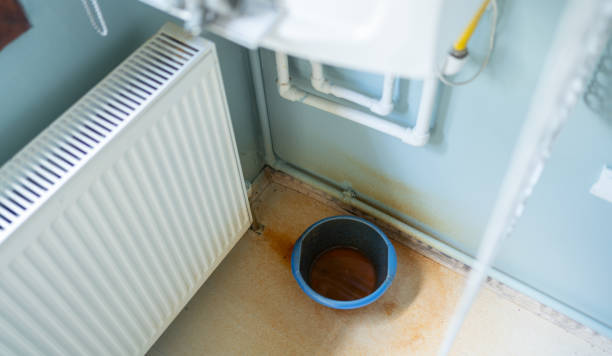 Best Flood restoration services  in Taylor, TX
