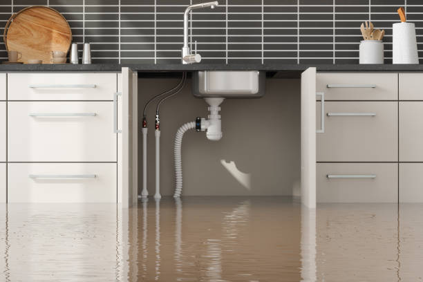 Best Carpet water damage restoration  in Taylor, TX