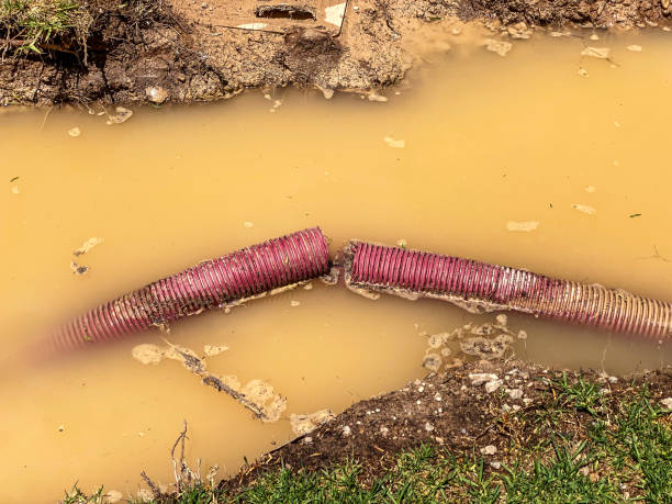 Best Water damage cleanup near me  in Taylor, TX